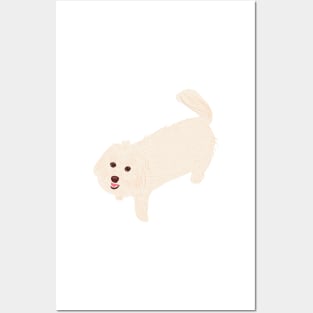 Happy Maltipoo Posters and Art